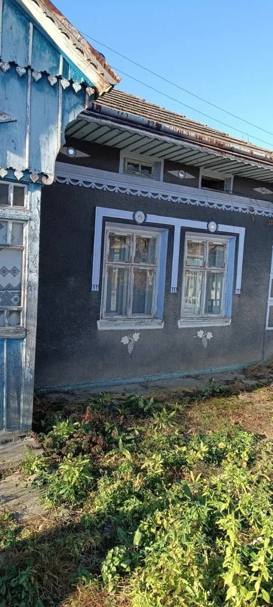 Будинок, Бабинці: літня кухня, сад і город, три комори - фото 4