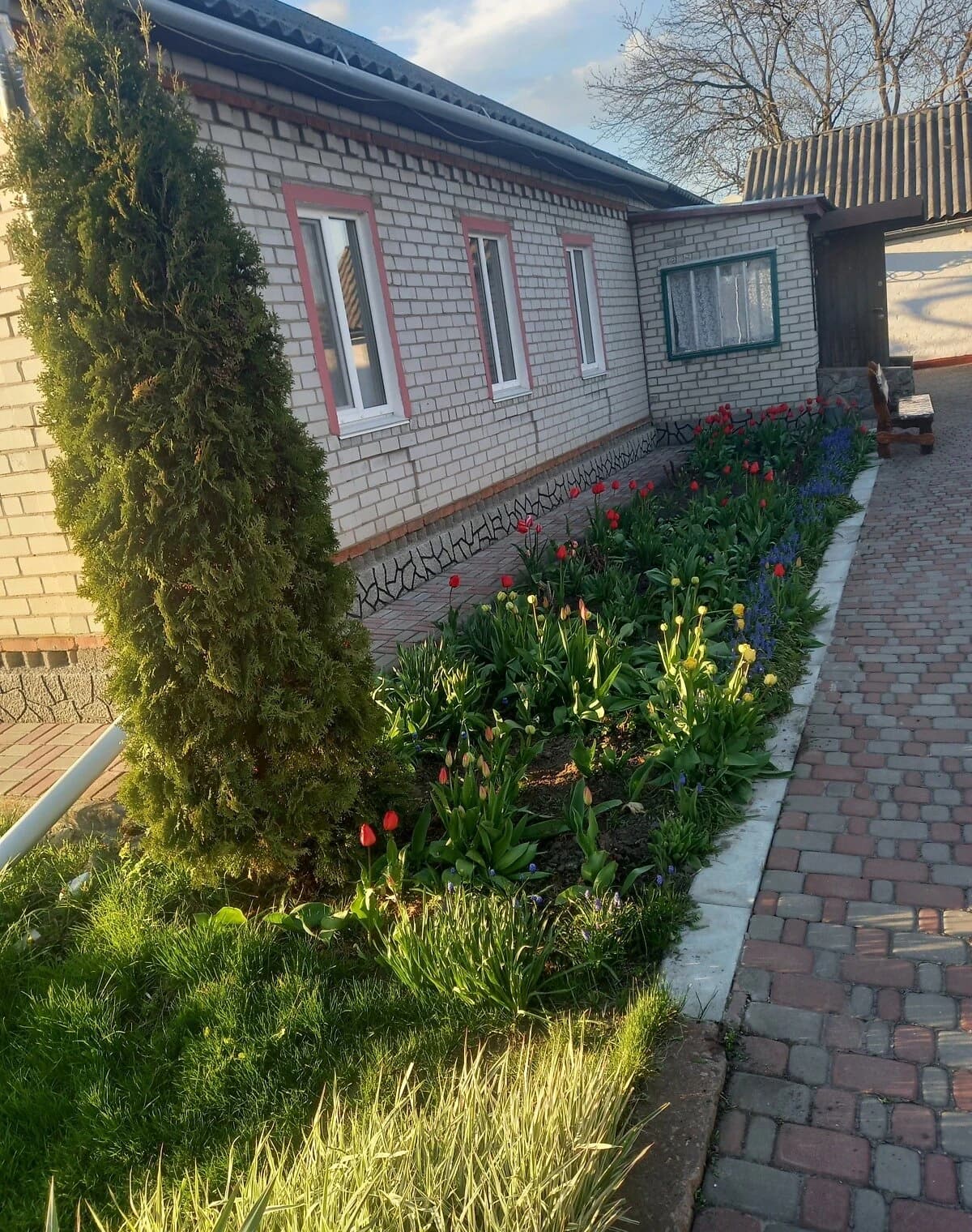 Будинок, Штомпелівка: гараж, бесідка, 100 соток - фото 2