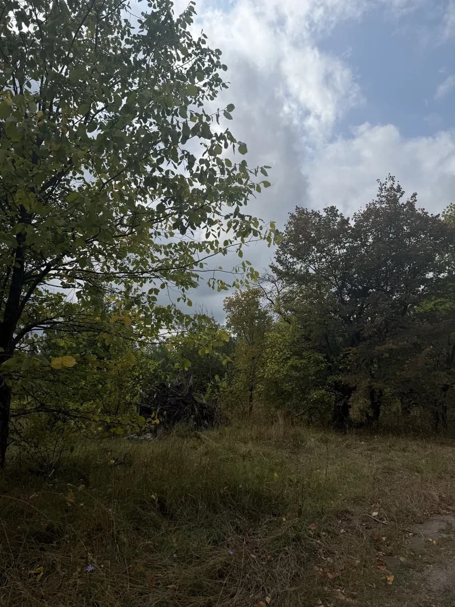 Ділянка 40 соток, Михайлівка-Рубежівка: озеро поруч, біля Києва - фото 2