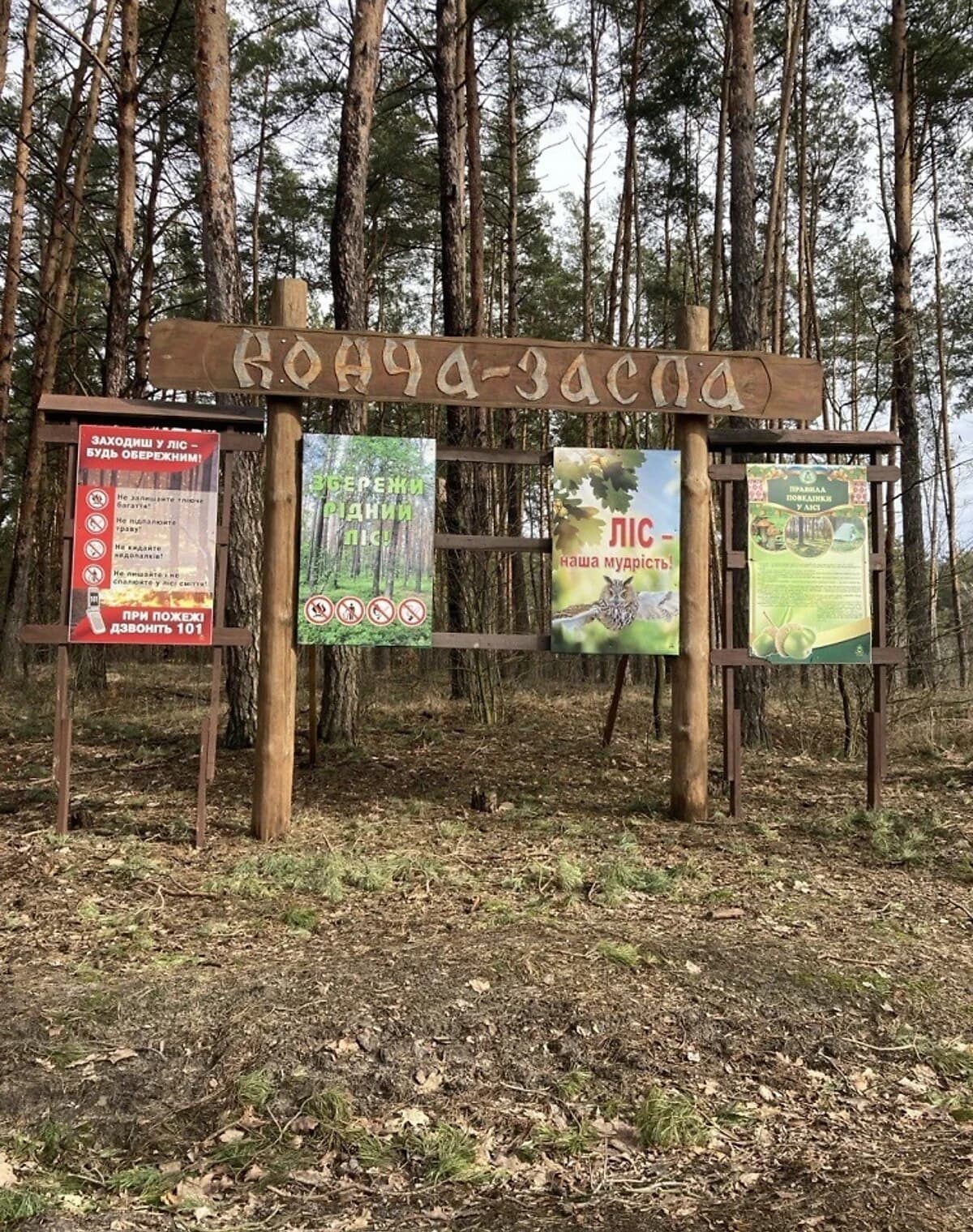 Ділянка 10 соток, Голосіївський: перша лінія, під житлову забудову - фото 3