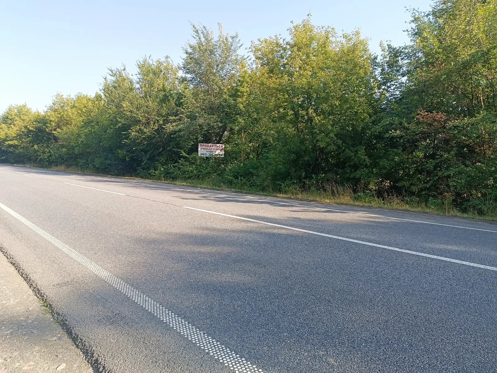 Ділянка 47 соток, Паланка: фасад траси М30, без комунікацій - фото 1