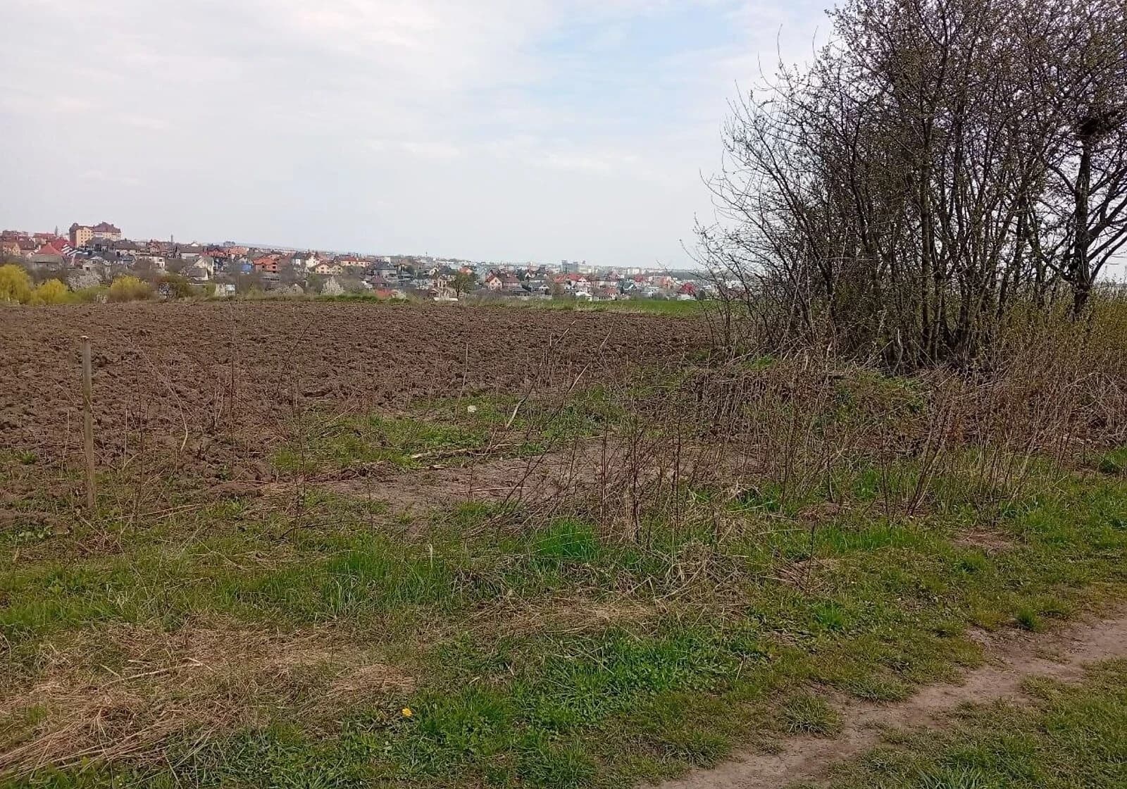 Ділянка 19.37 соток, Великий Кучурів: чорнозем, електрика - фото 1