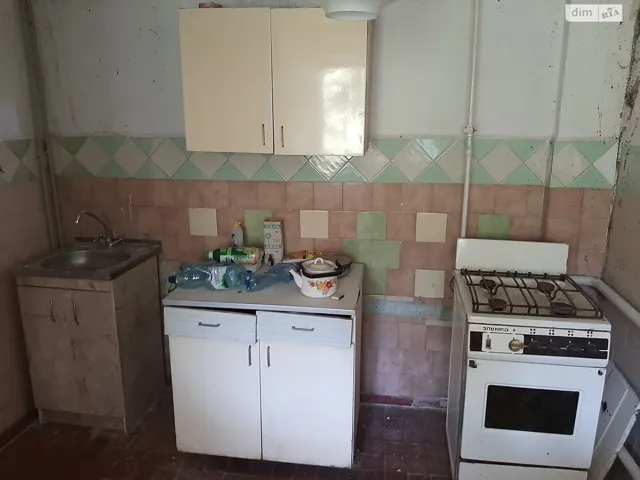 Будинок, Світанок: гараж, літня кухня, сад