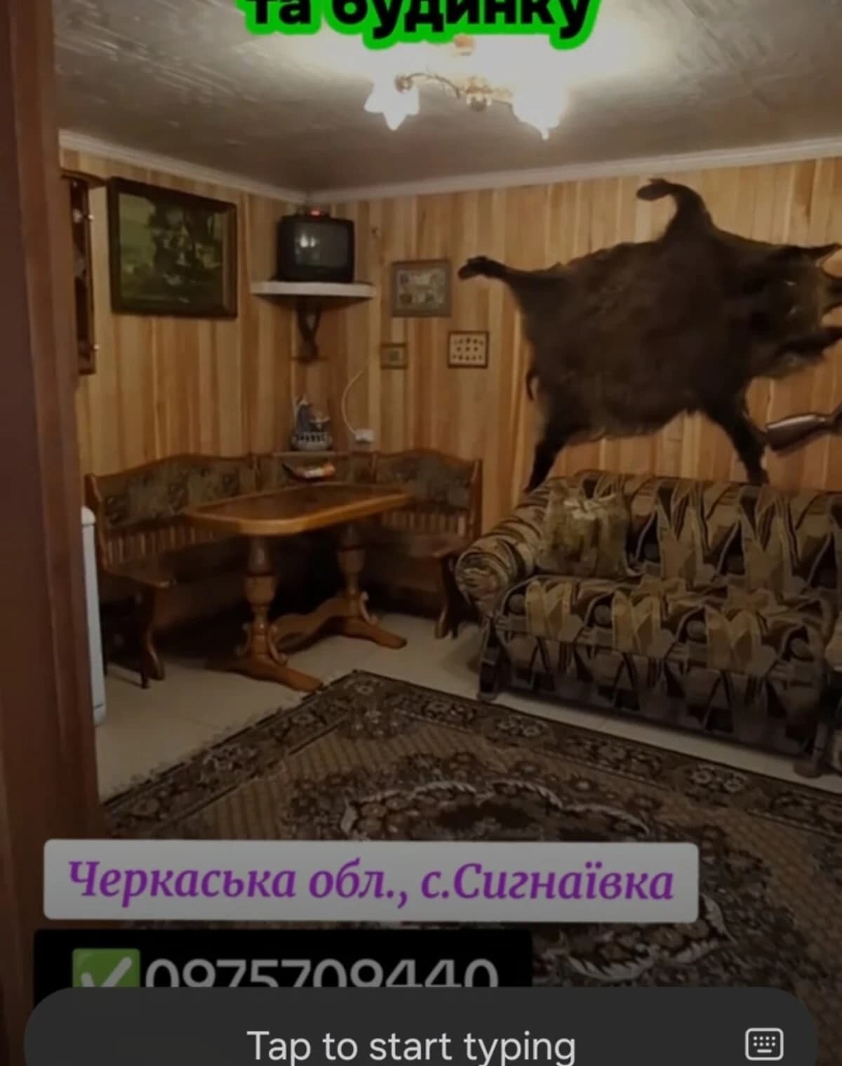 Виробниче приміщення, Сигнаївка: діючий бізнес, 2,5 га - фото 2