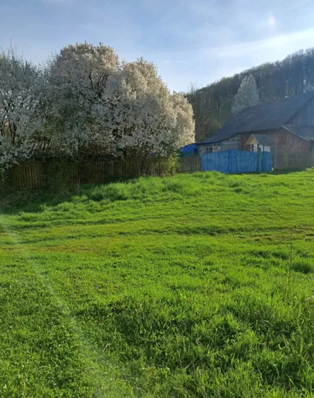 Ділянка 65 соток, Турятка: під житлову забудову, під гараж - фото 3