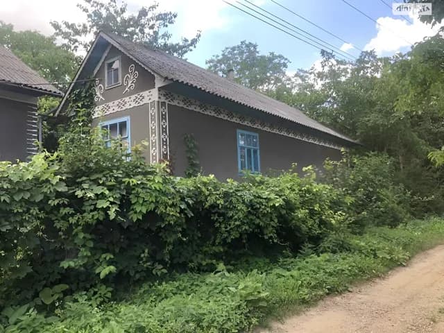 Будинок, Ржавинці: 50 соток, криниця, літня кухня - фото 2
