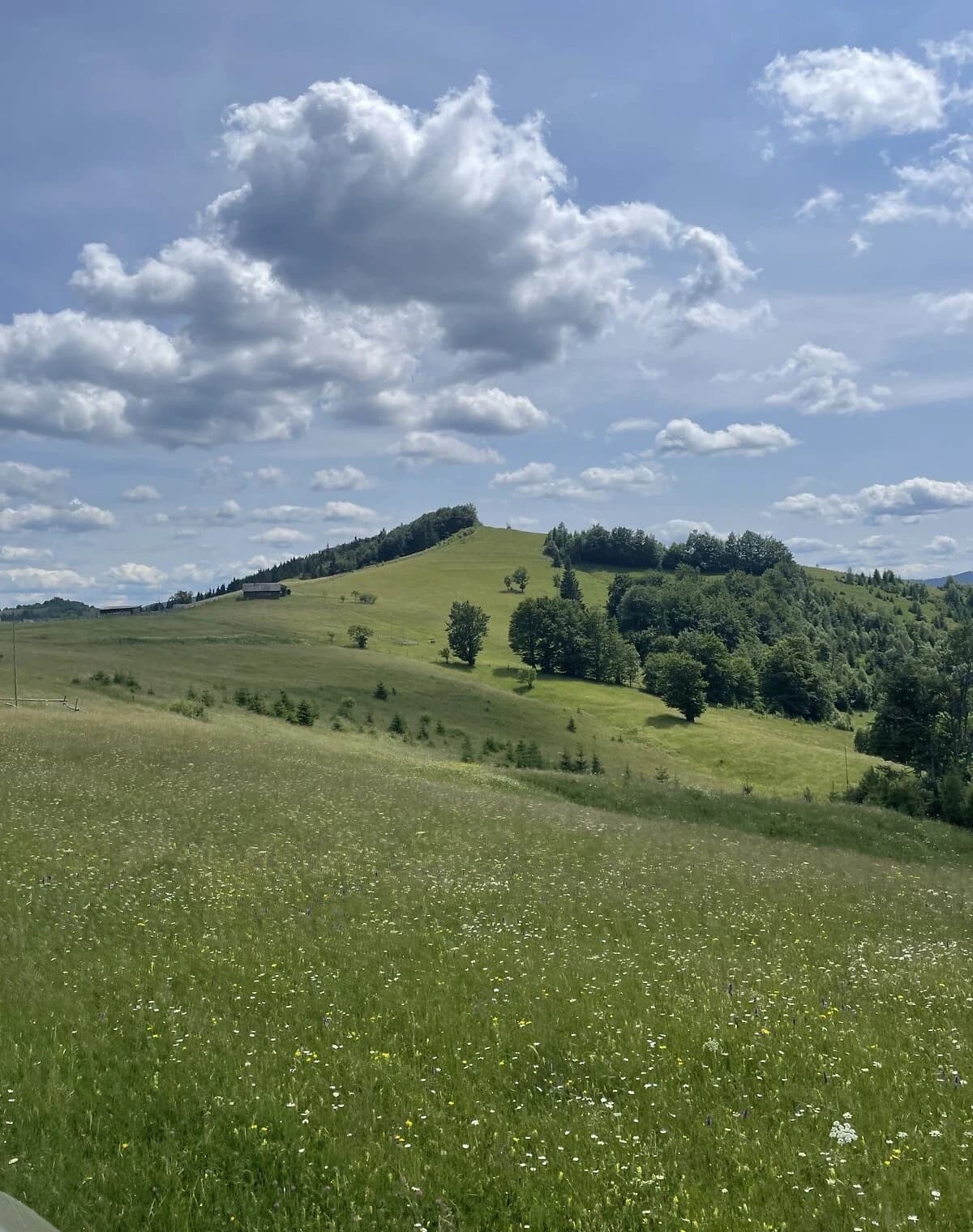 Ділянка 304.7 сотки, Бисків: під житлову забудову, біля гір - фото 2