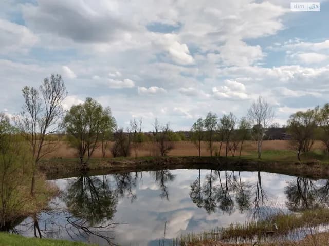 Ділянка 166 соток, Лелеківка: штучне озеро, сад і фундамент - фото 3