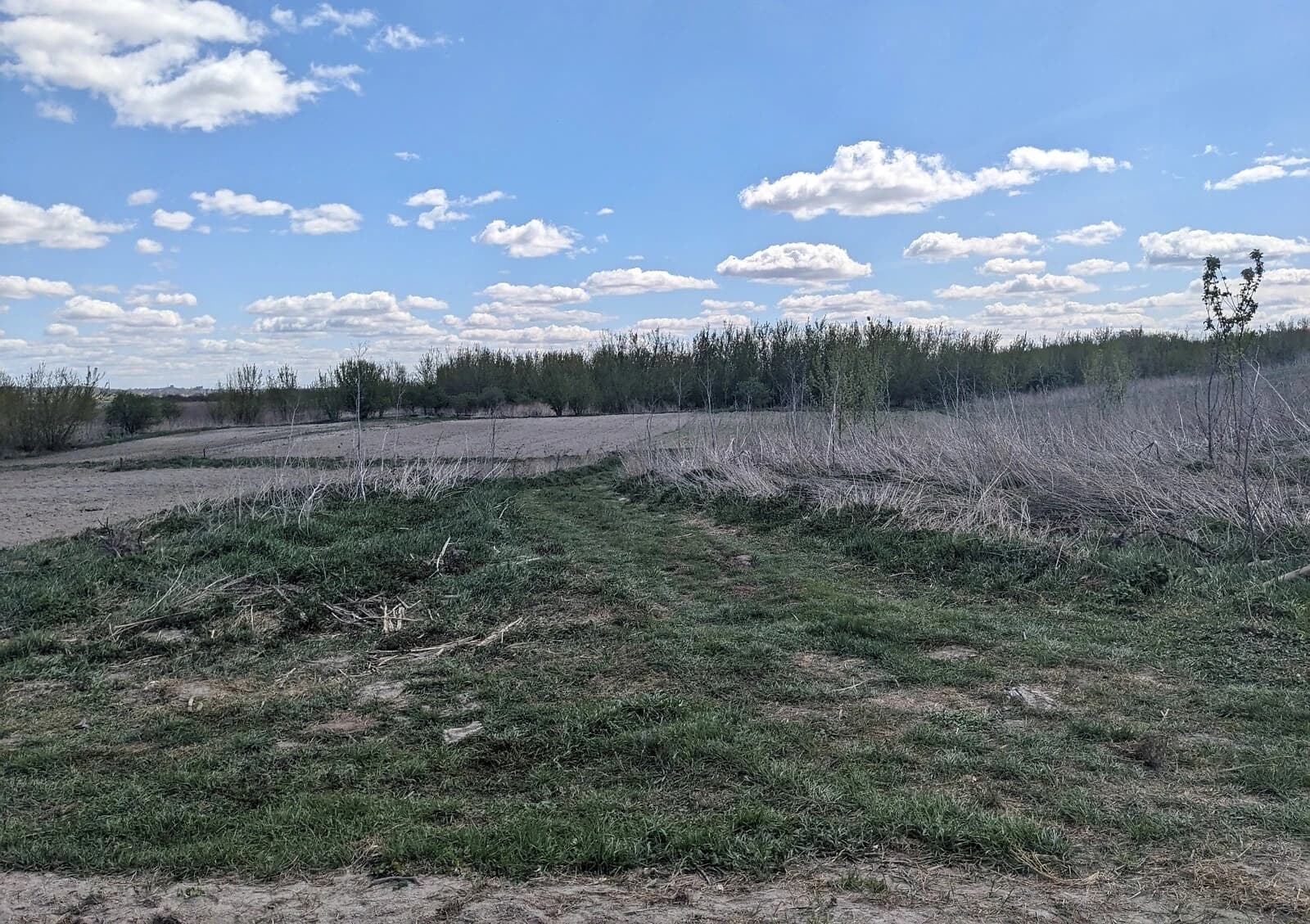 Ділянка 10 соток, Городок: природне озеро, під житлову забудову - фото 5