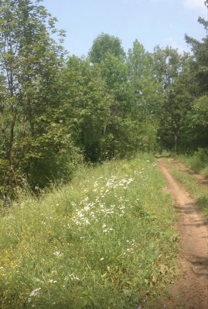 Ділянка 8400 соток, Покотилівка: житлова й суспільна забудова, торг - фото 1