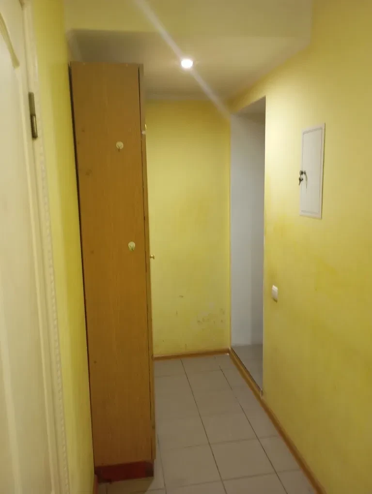 1-кімнатна квартира, Голосіївський: хрущовка, цегляні стіни - фото 1