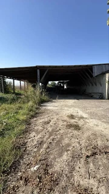 Агрокомплекс, Колубаївці: 350 соток, техніка, свинарник - фото 3
