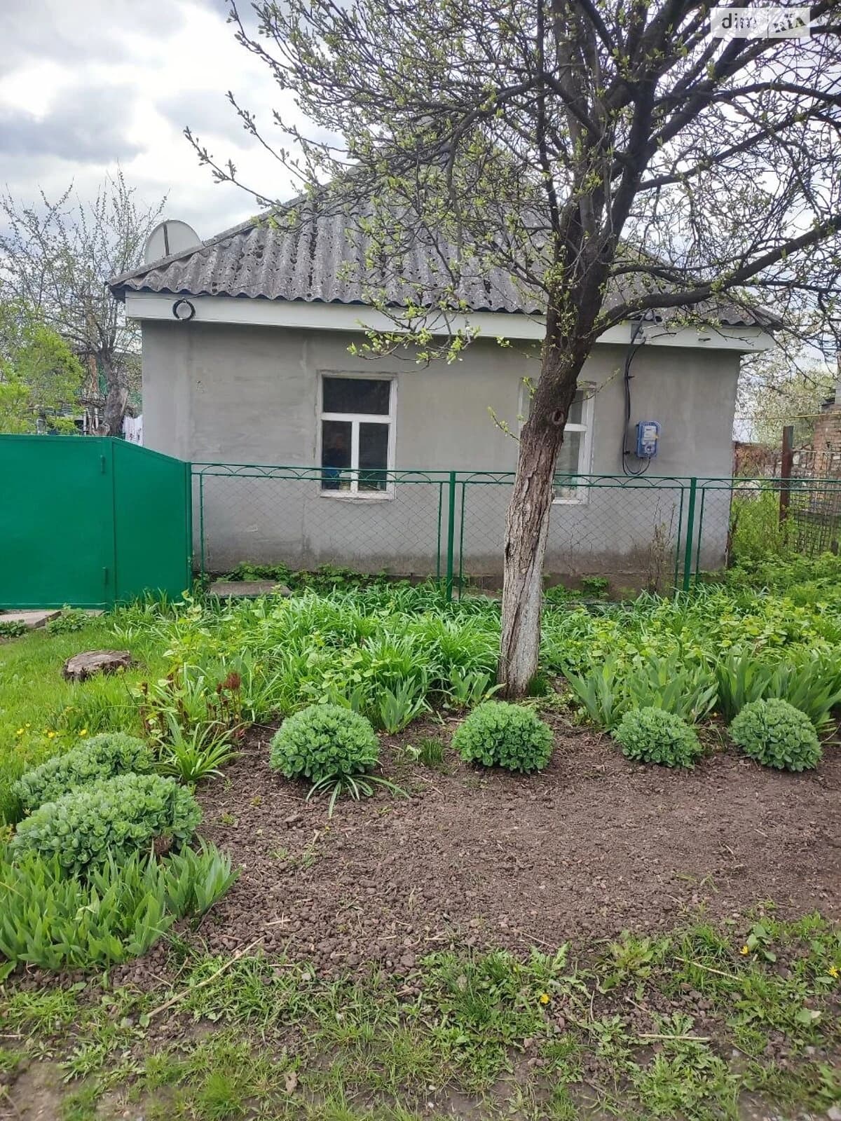 Будинок, Знам'янка: город, погріб, сад