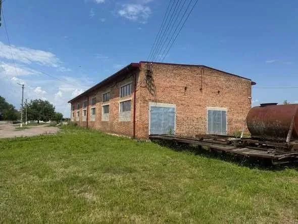 Склад, Острів: підвал 350 м², 50 кВт, паркувальне місце - фото 2