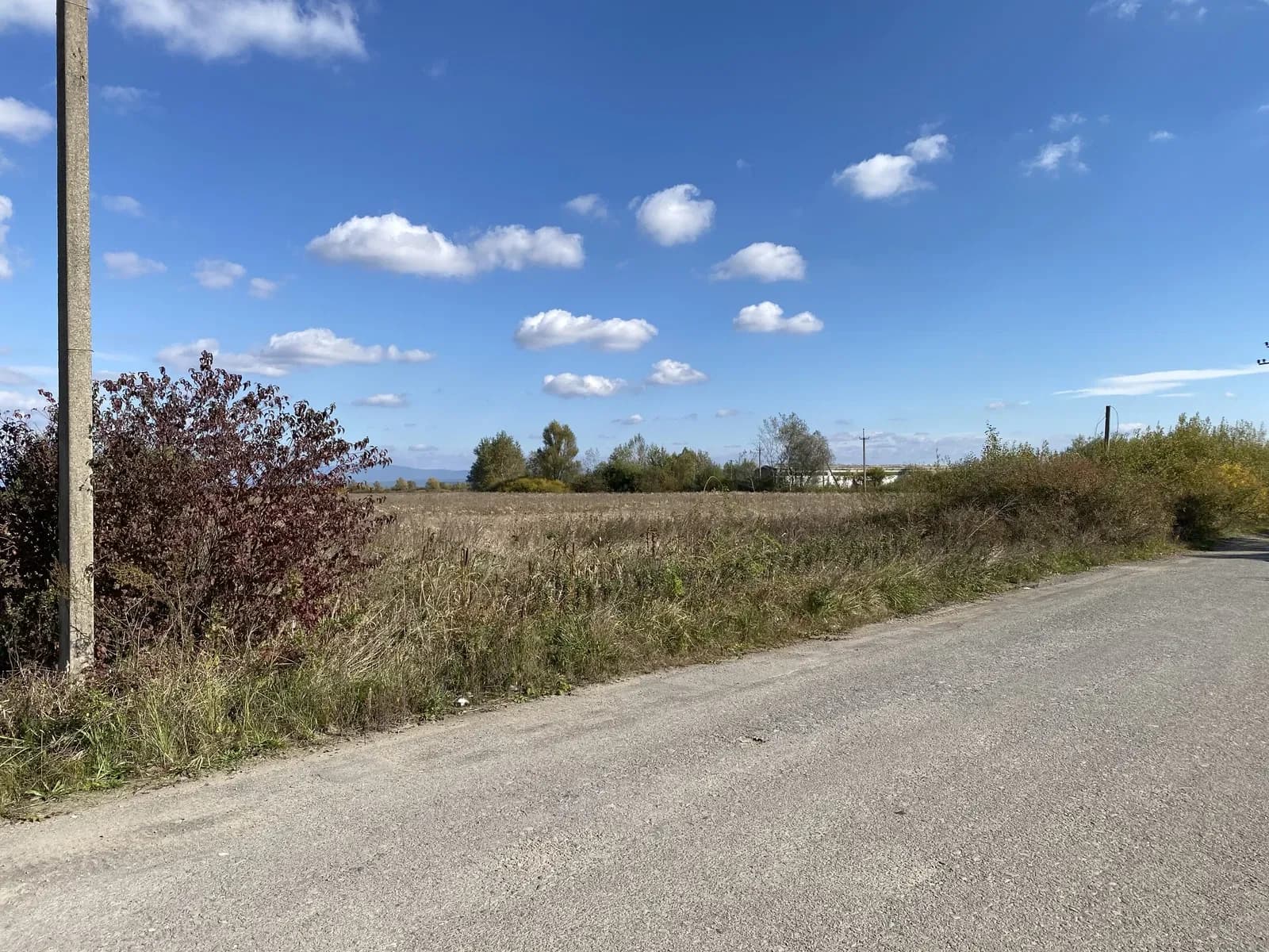 Ділянка 99 соток, Сюрте: фасад 147 м, асфальтована дорога