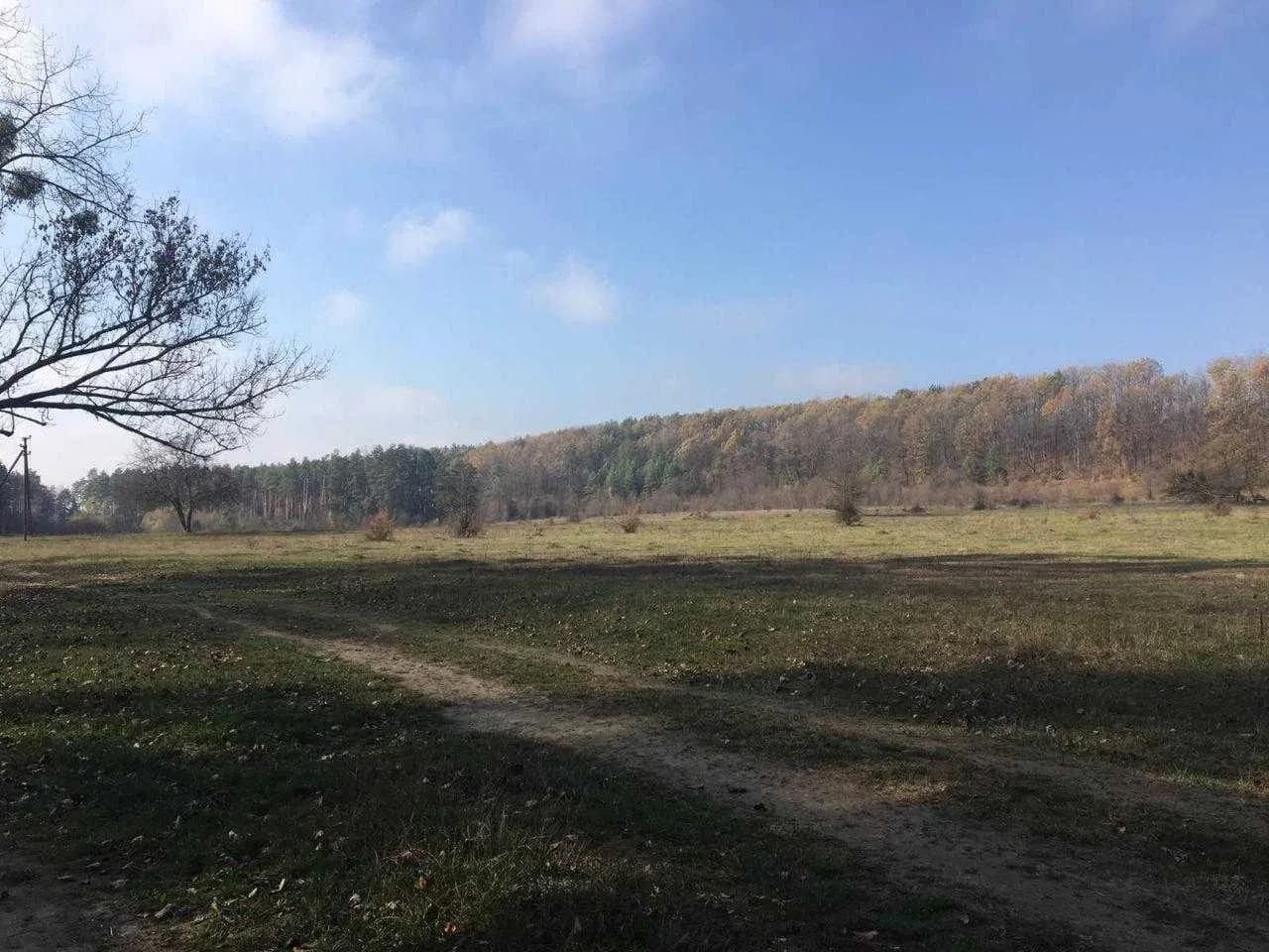Ділянка 10 соток, Левків: ліс, річка Тетерів, можна будувати - фото 4