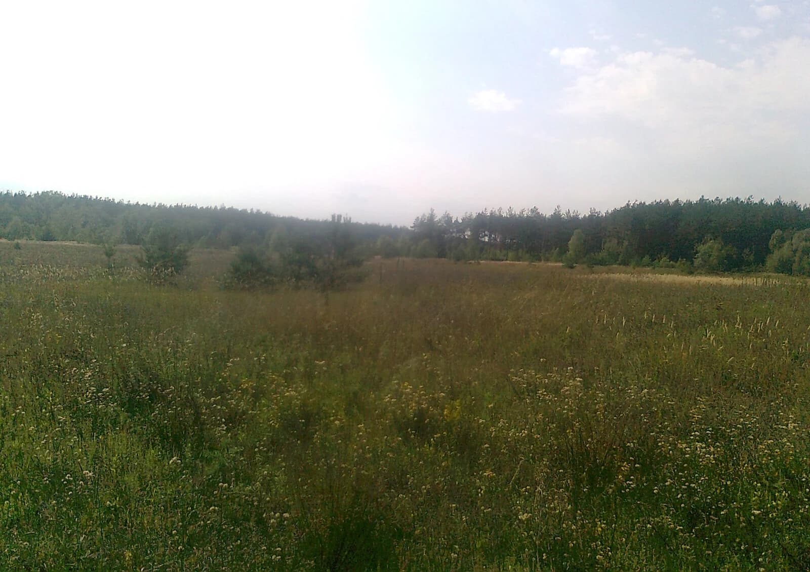 Ділянка 15 соток, Марківка: під житлову забудову, рівнинна - фото 5
