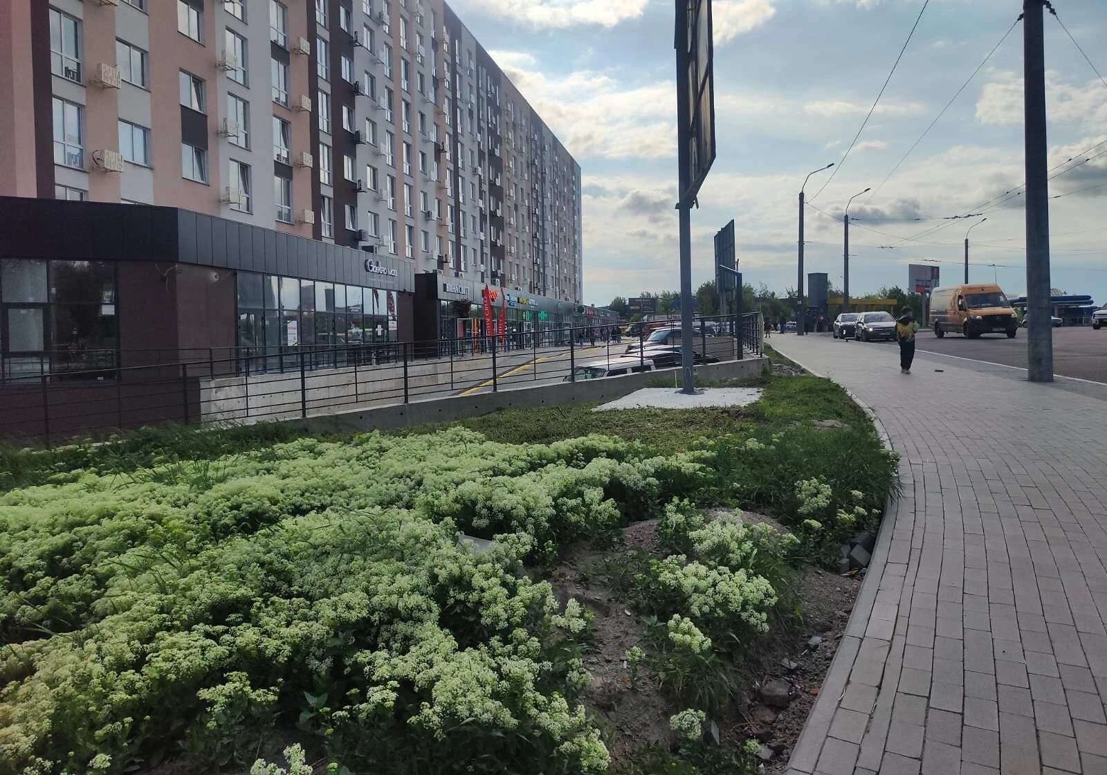 1-кімнатна квартира, Авторинок: кухня-студія, єОселя - фото 2