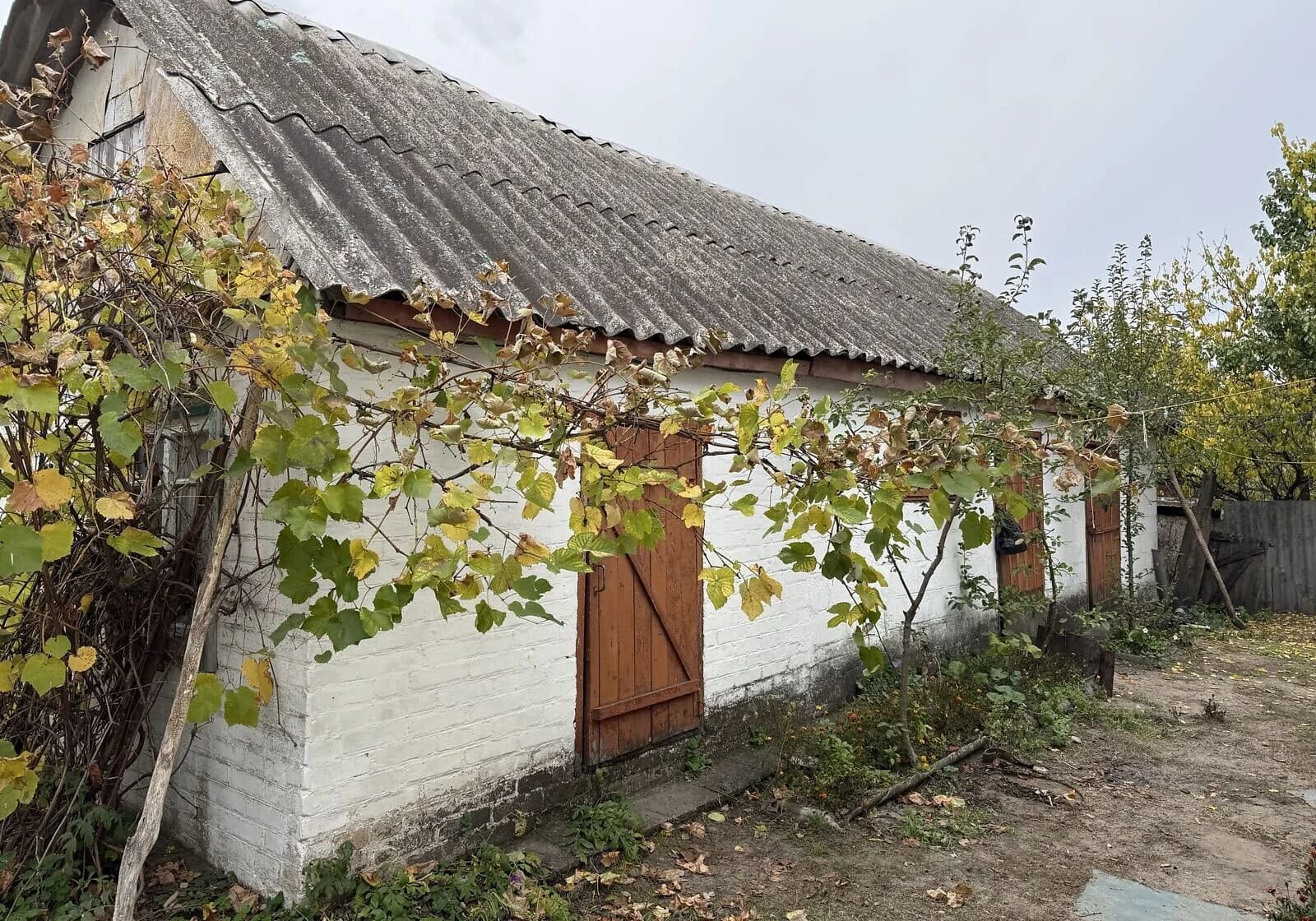 Дача, Задонецьке: цегляні стіни, ванна - фото 5