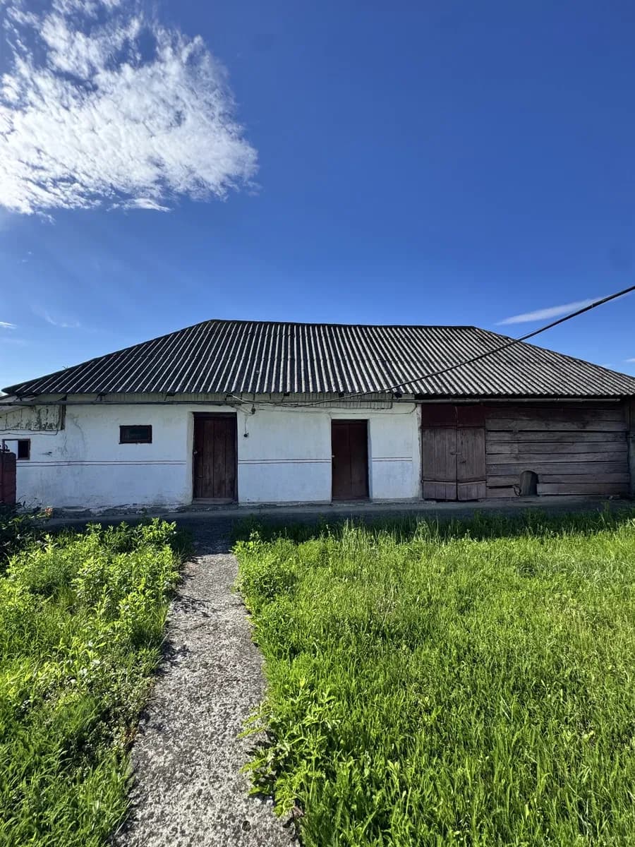 Будинок, Козарі: на березі Дністра, сад з фруктовими деревами - фото 3
