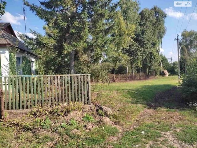 Будинок, Вікентіївка: гараж, опалення, цегляні стіни - фото 5