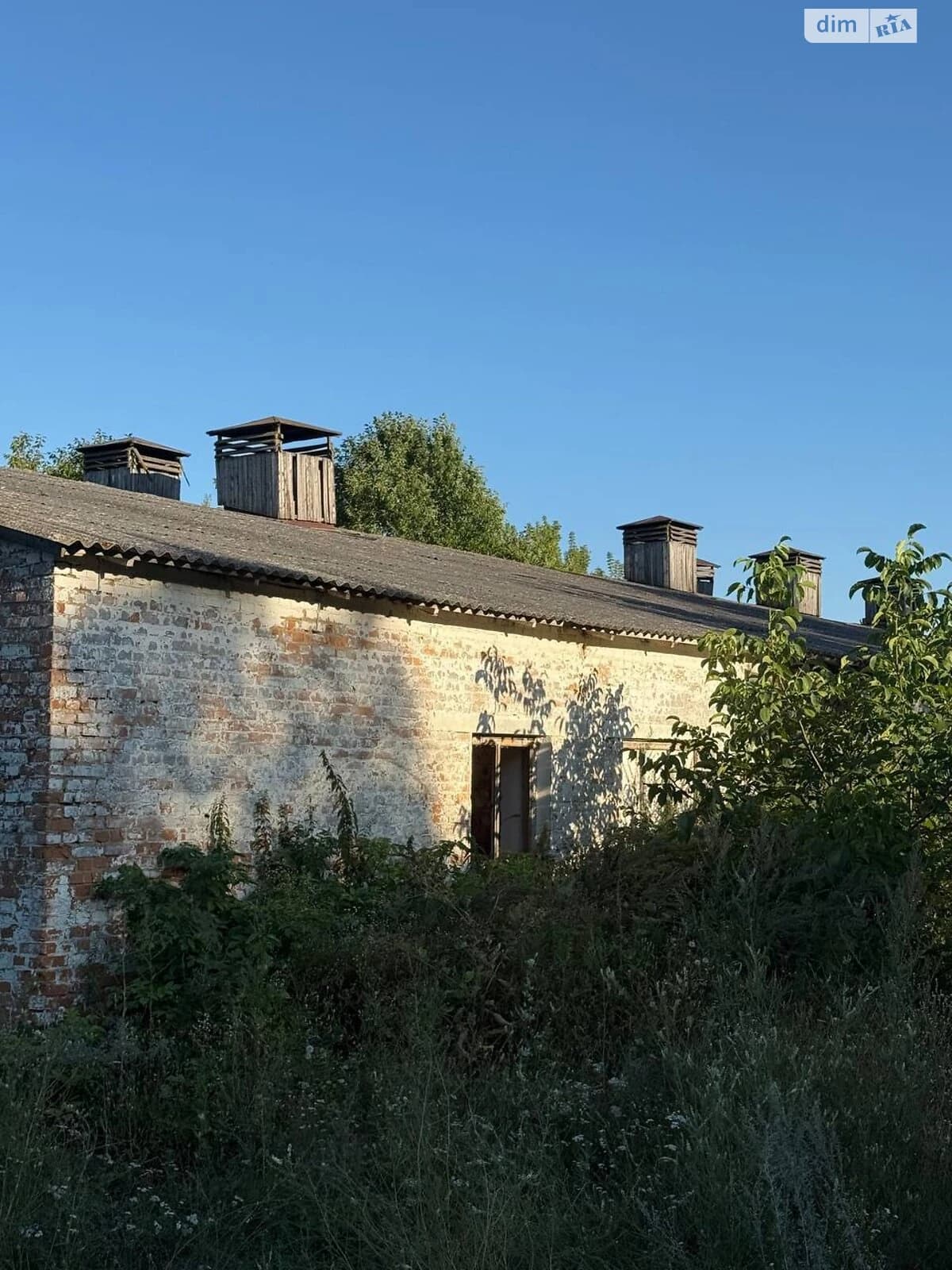 Приміщення, Голенищеве (Летичів): ангар для зерна, окреме - фото 2