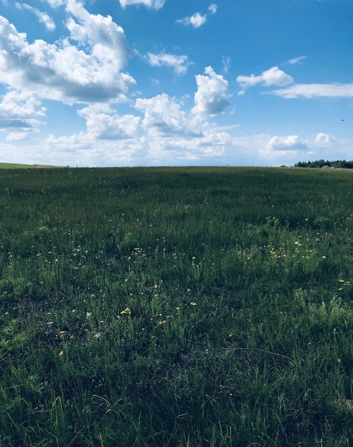 Ділянка 7 соток, Лаврівка: під житлову забудову - фото 3
