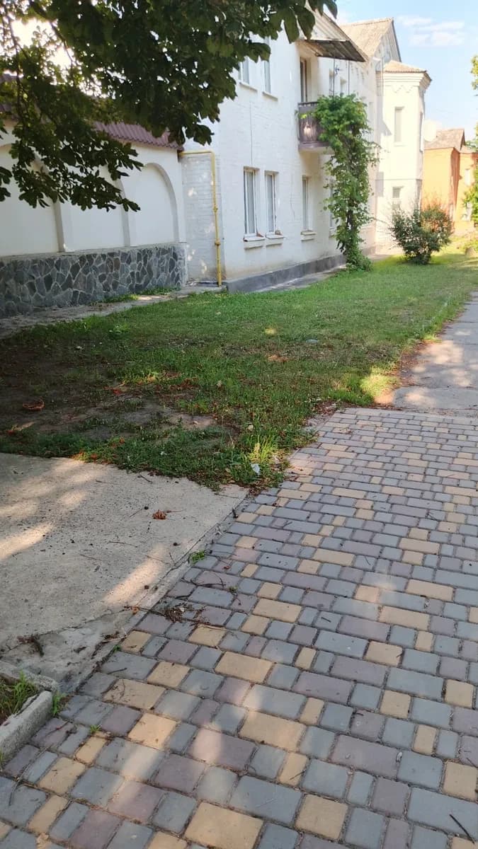 3-кімнатна квартира, Багачеве: гараж і сарай, підходить під єОселю