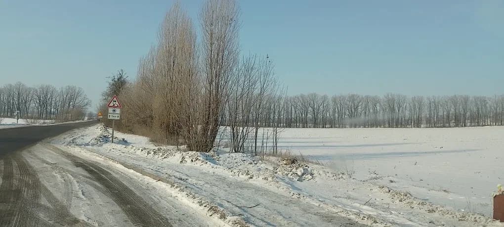 Ділянка 470 соток, Канів: під комерцію, фасадна біля дороги - фото 2