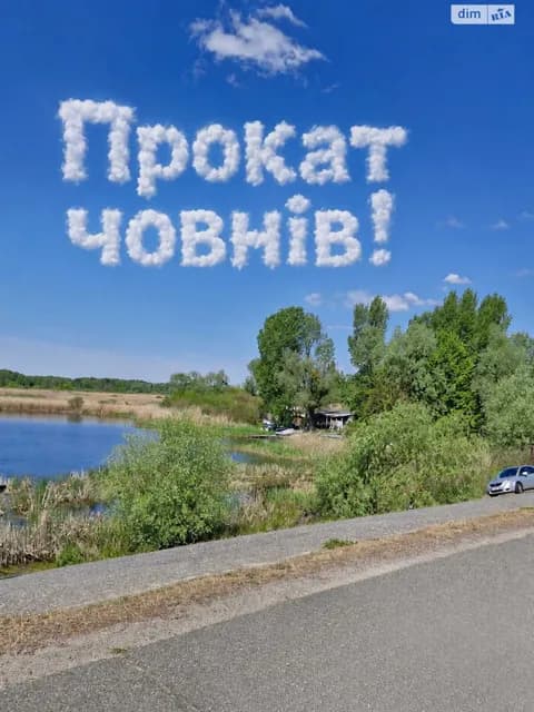 Дача, Проців: бесідка, сад і барбекю - фото 4