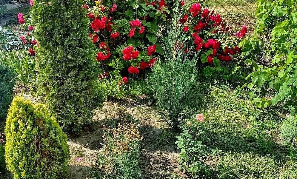 Дача, Надержинщина: без ремонту, пічне опалення - фото 5