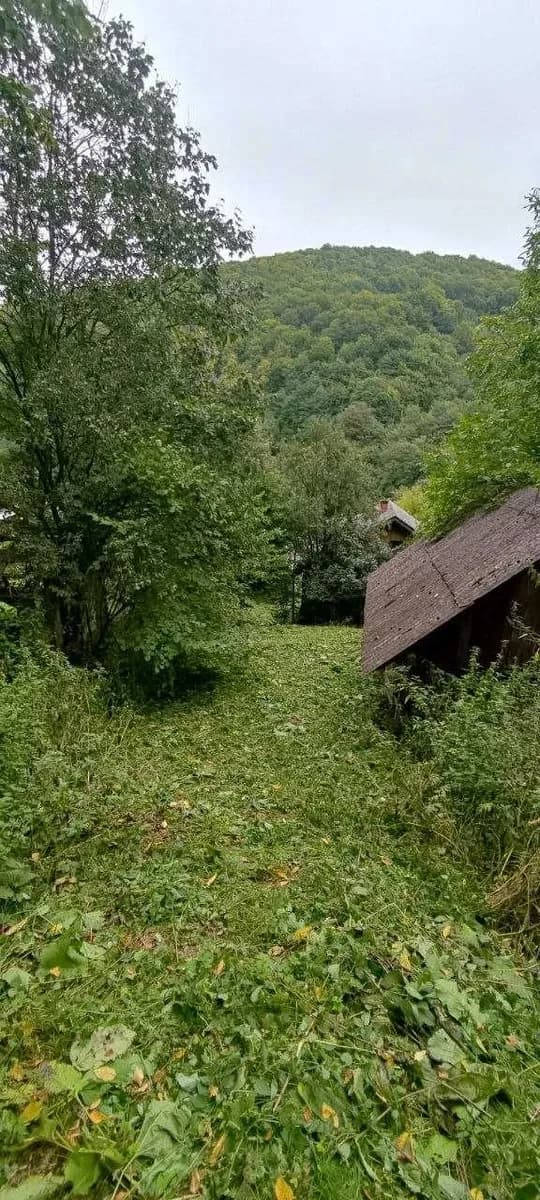 Будинок, Віженка: свердловина, приватизована земля, торг - фото 3