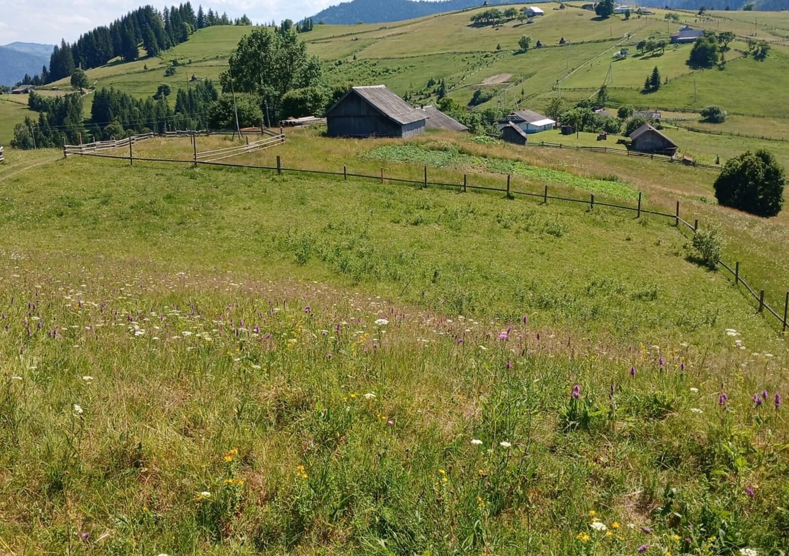 Ділянка 50 соток, Черемошна: природне озеро, свердловина - фото 3