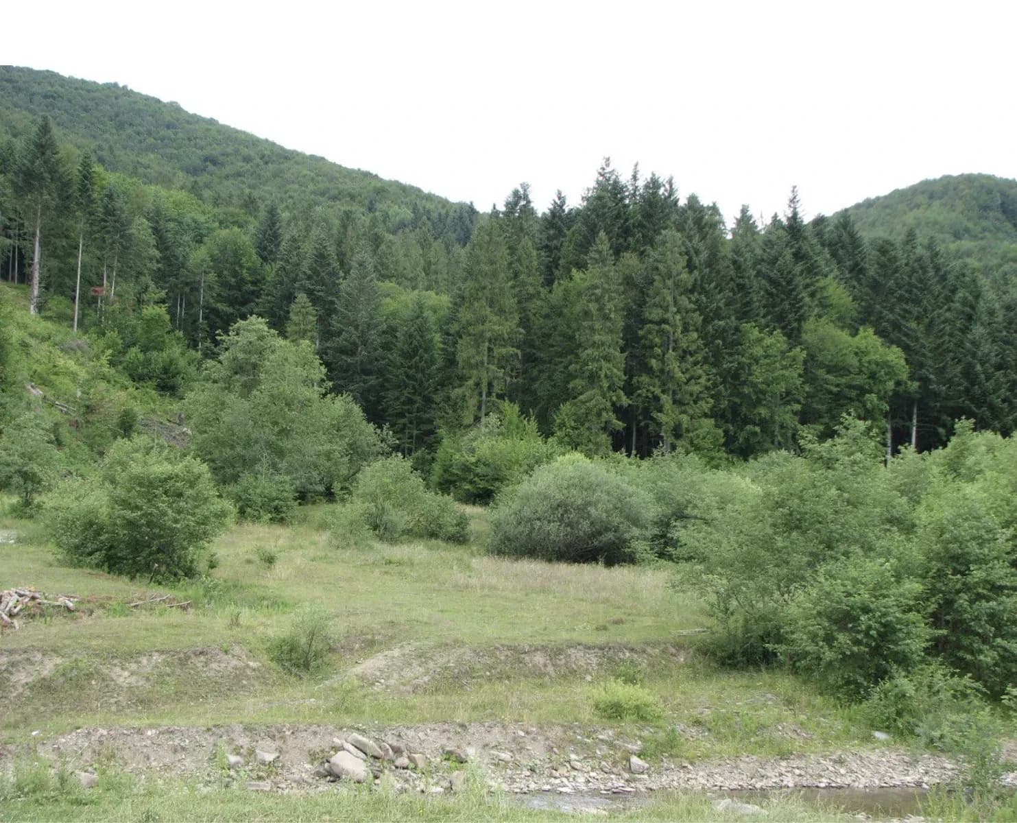 Ділянка 20 соток, Жденієво: біля лісу, струмок, торг - фото 3