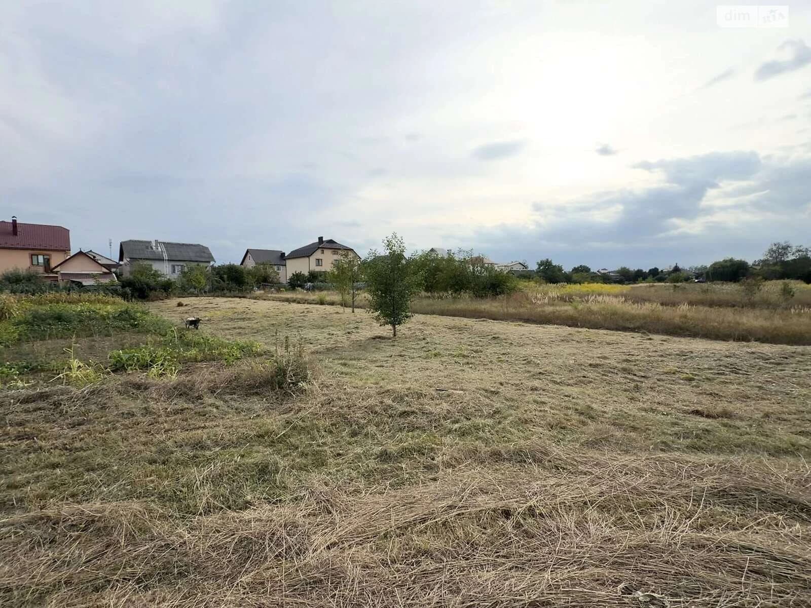 Ділянка 7.06 соток, Опришівці: житлова забудова, чорнозем, під гараж - фото 2