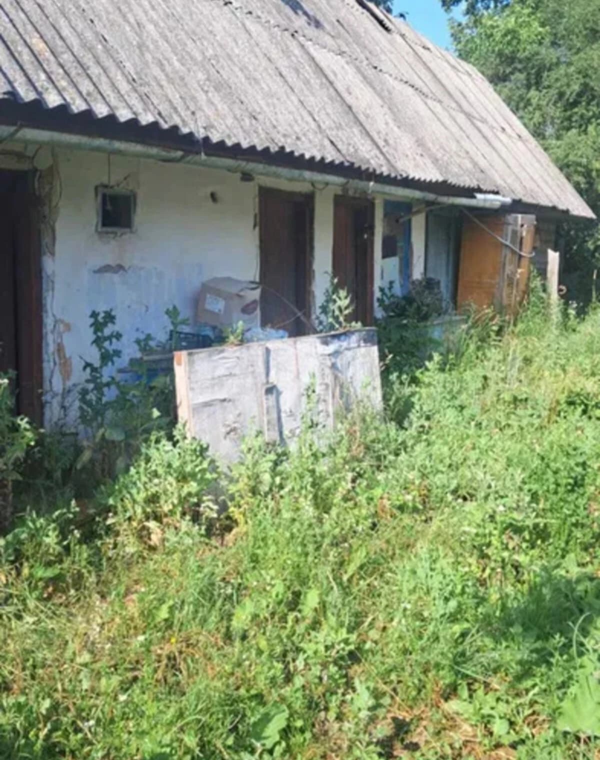 Будинок, Городище (Черняхів): сад, криниця, 60 соток - фото 4