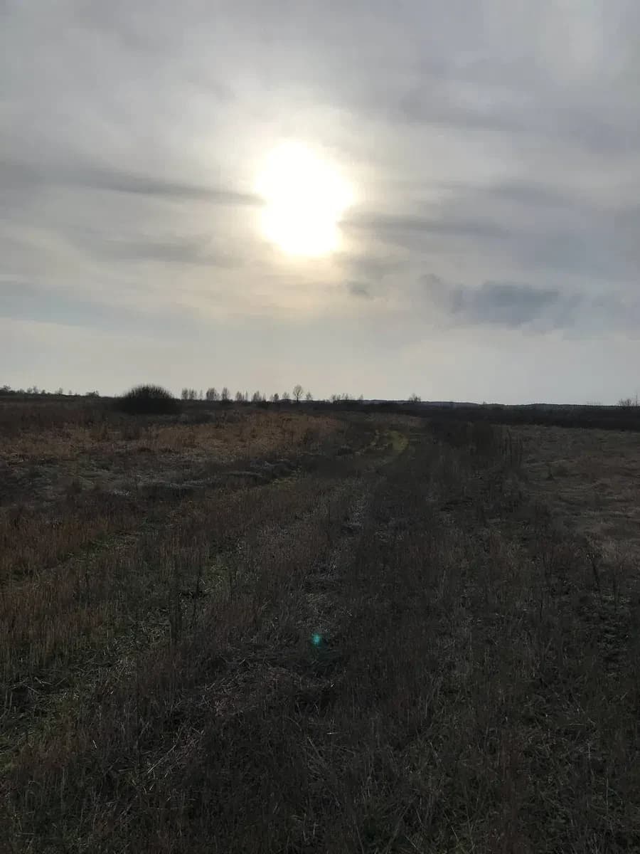Ділянка 109 соток, Нижча Дубечня: між Десною та Дніпром - фото 1