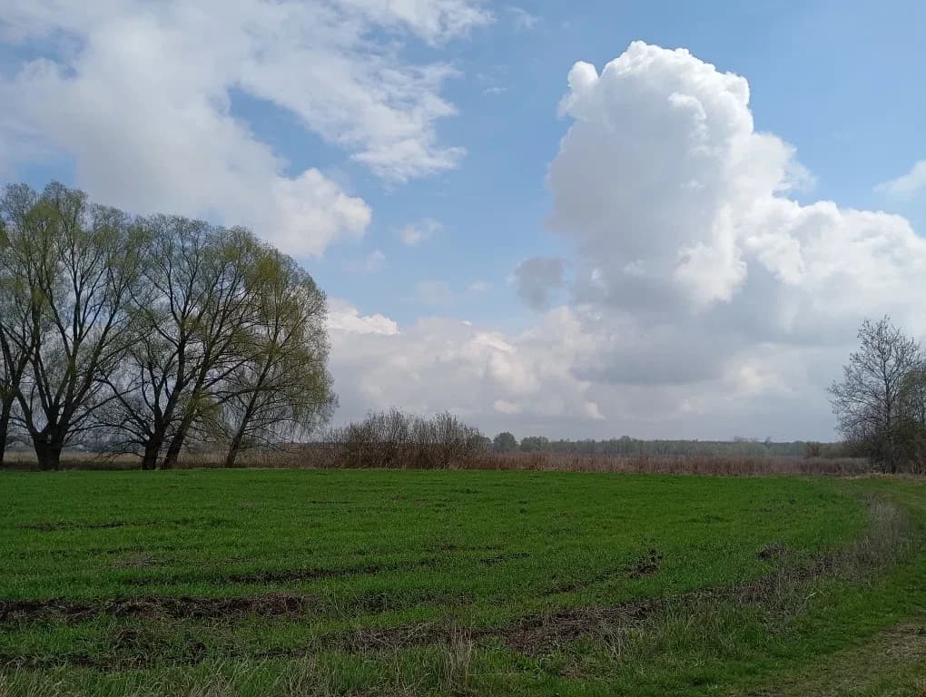 Ділянка 20 соток, Русанів: центр села, під житлову забудову - фото 4