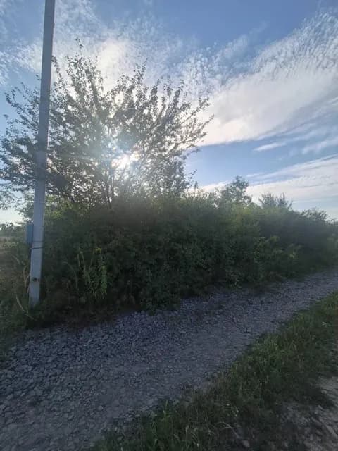 Ділянка 6.30 соток, Сторожниця: під індивідуальне будівництво, електрика - фото 4