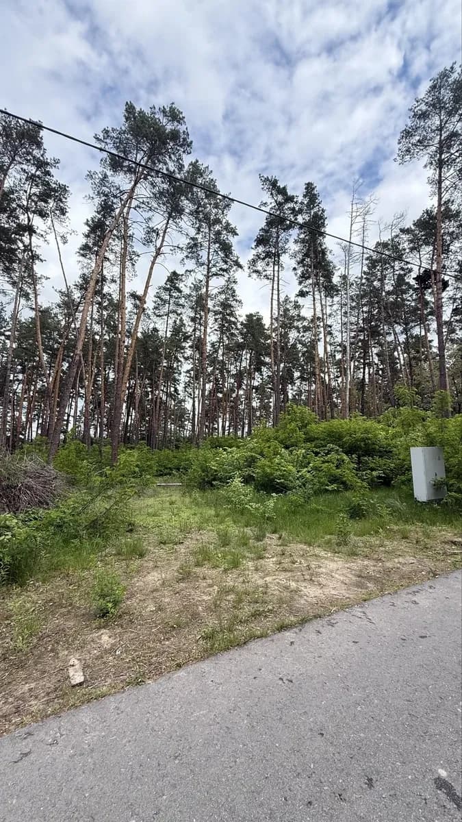 Ділянка 75 соток, Бобриця: дозвільні документи, електрика