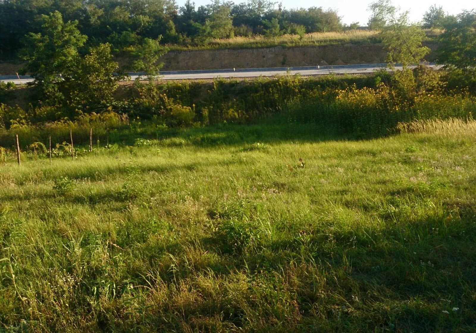Ділянка 5 соток, Солом'янський: садове товариство, охорона - фото 5