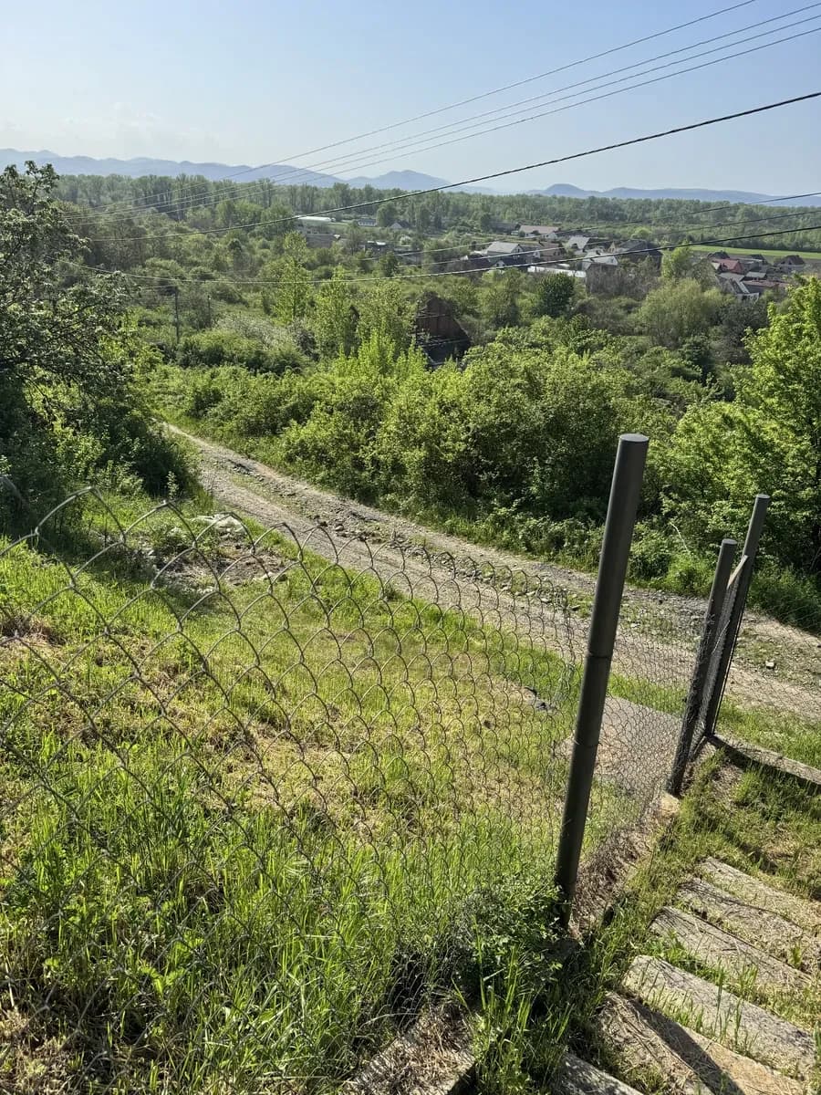 Дача, Виноградів: вода, фруктові дерева, панорама - фото 4