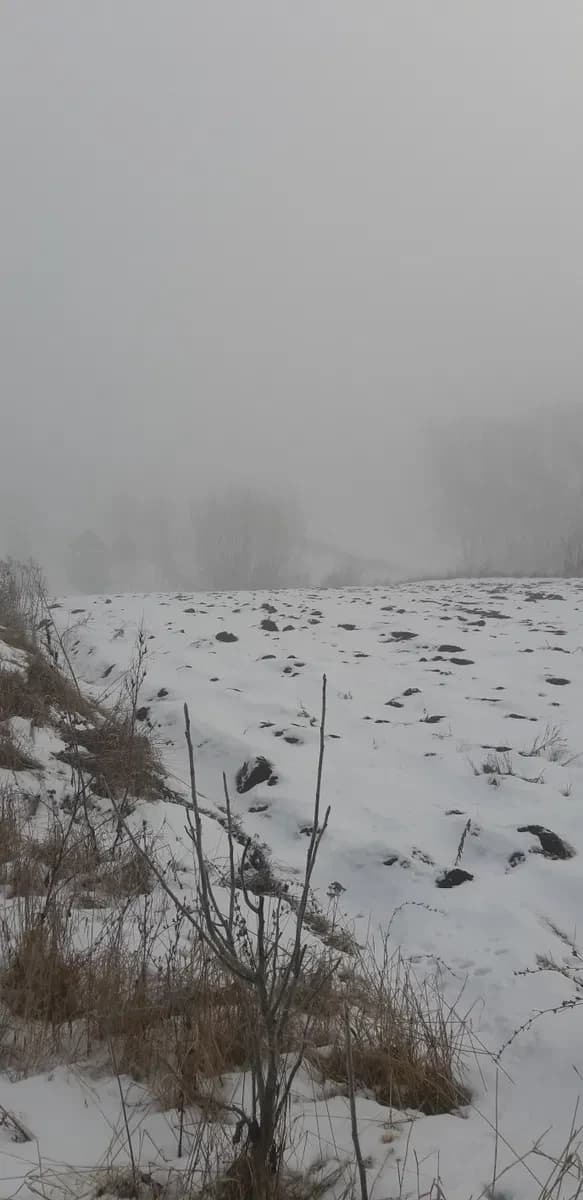 Ділянка 23.60 соток, Коровія: під забудову, до озера 300 м - фото 2
