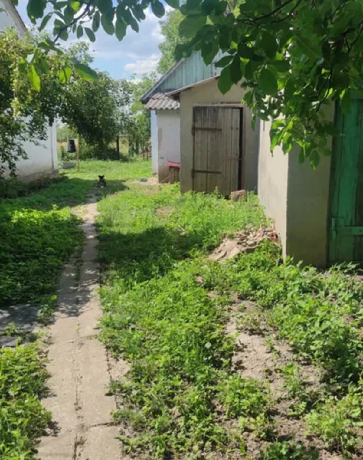 Будинок, Нова Лішня: ділянка 25 соток, цегляні стіни, переуступка - фото 2