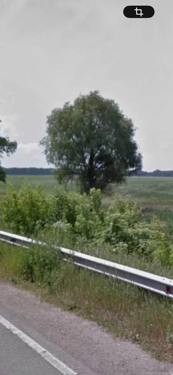 Ділянка 400 соток, Гусачівка: фасадна, асфальтована дорога