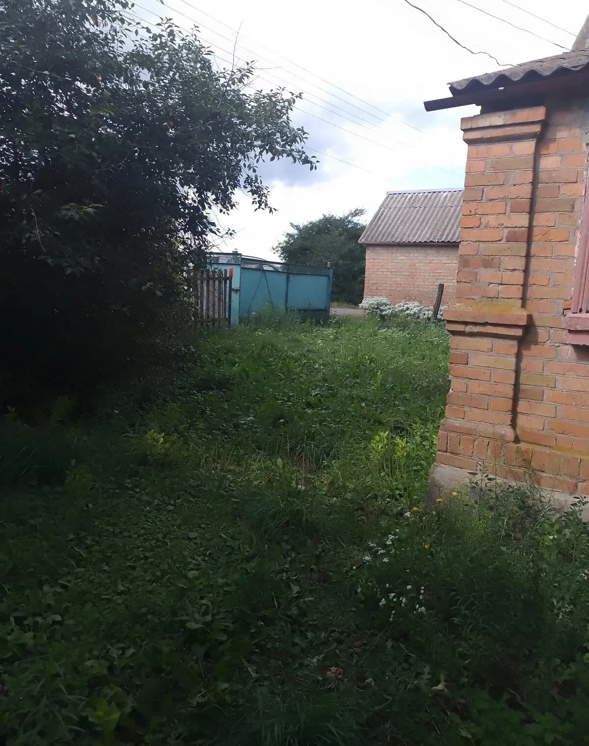 Будинок, Закутинці: 40 гектарів, індивідуальне опалення - фото 4