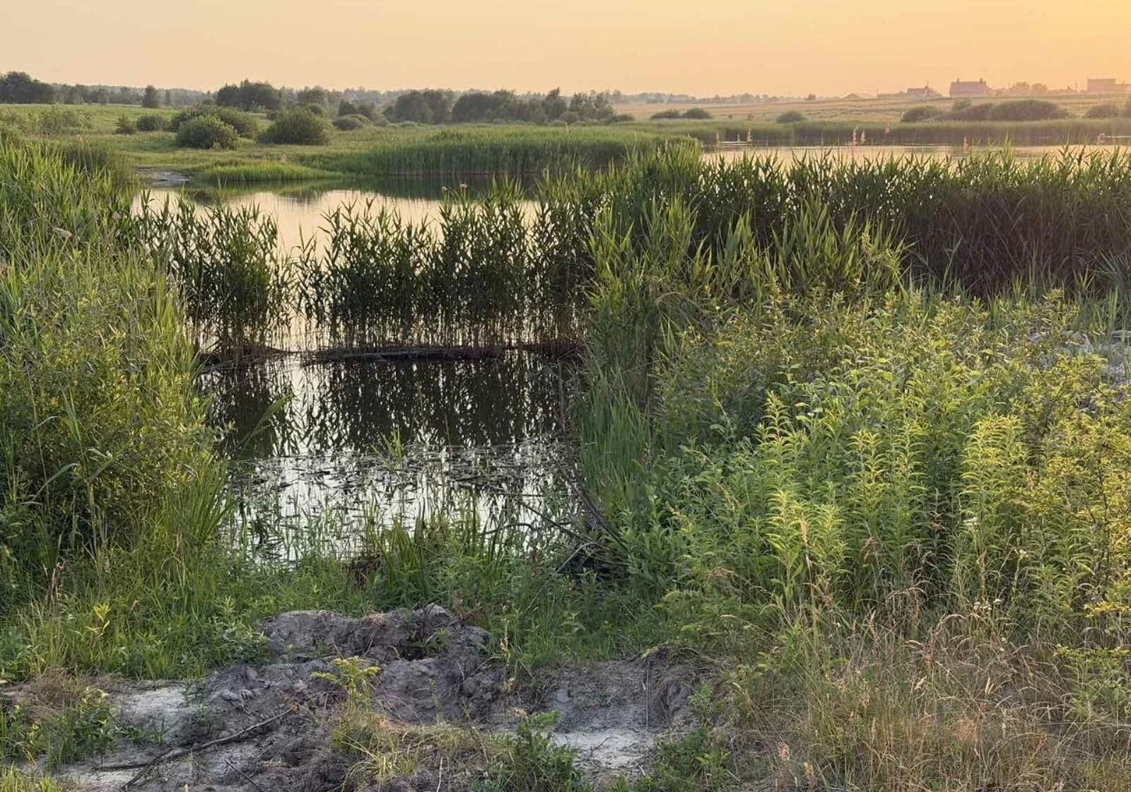 Ділянка 10 соток, Щеплоти: природне озеро, під гараж - фото 3