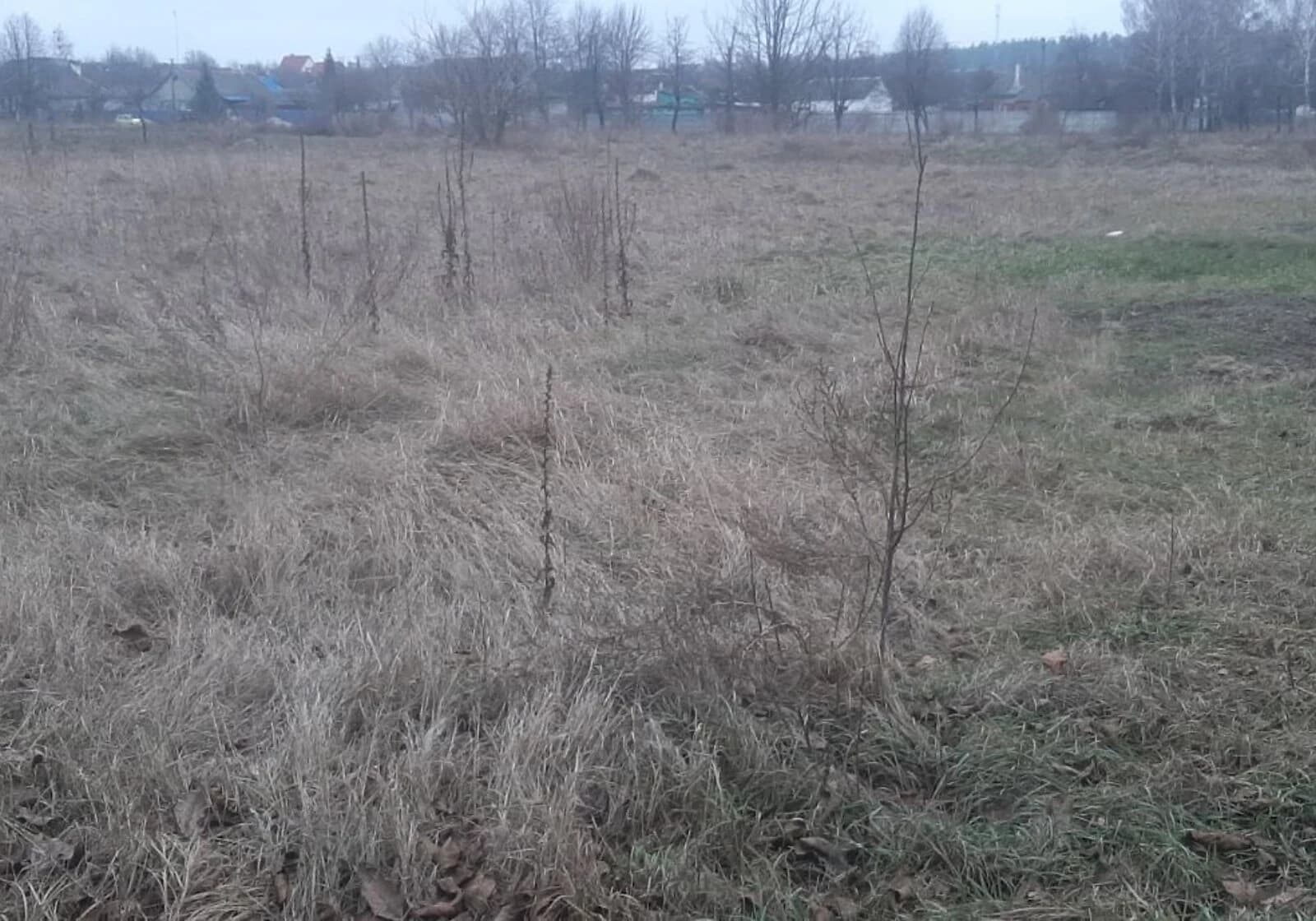 Ділянка 14.95 сотки, Брусилів: під житлову забудову, торг можливий - фото 4