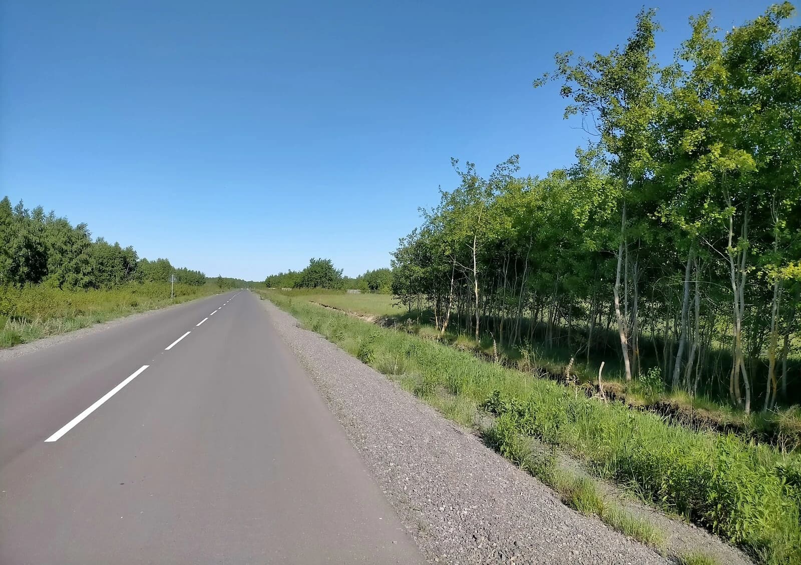 Ділянка 8 соток, Пульмо: під житлову забудову, торг можливий - фото 4