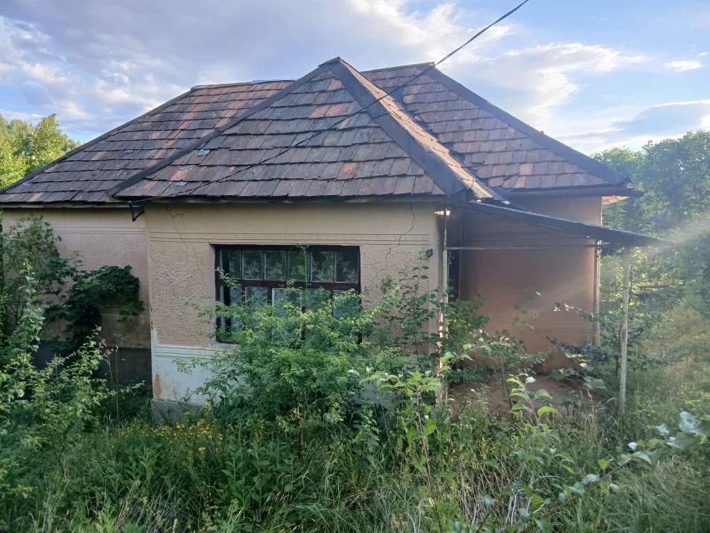 Будинок, Голубине: можна жити, газ і світло - фото 1